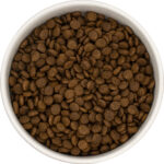 Szczenię małej rasy (drobny)