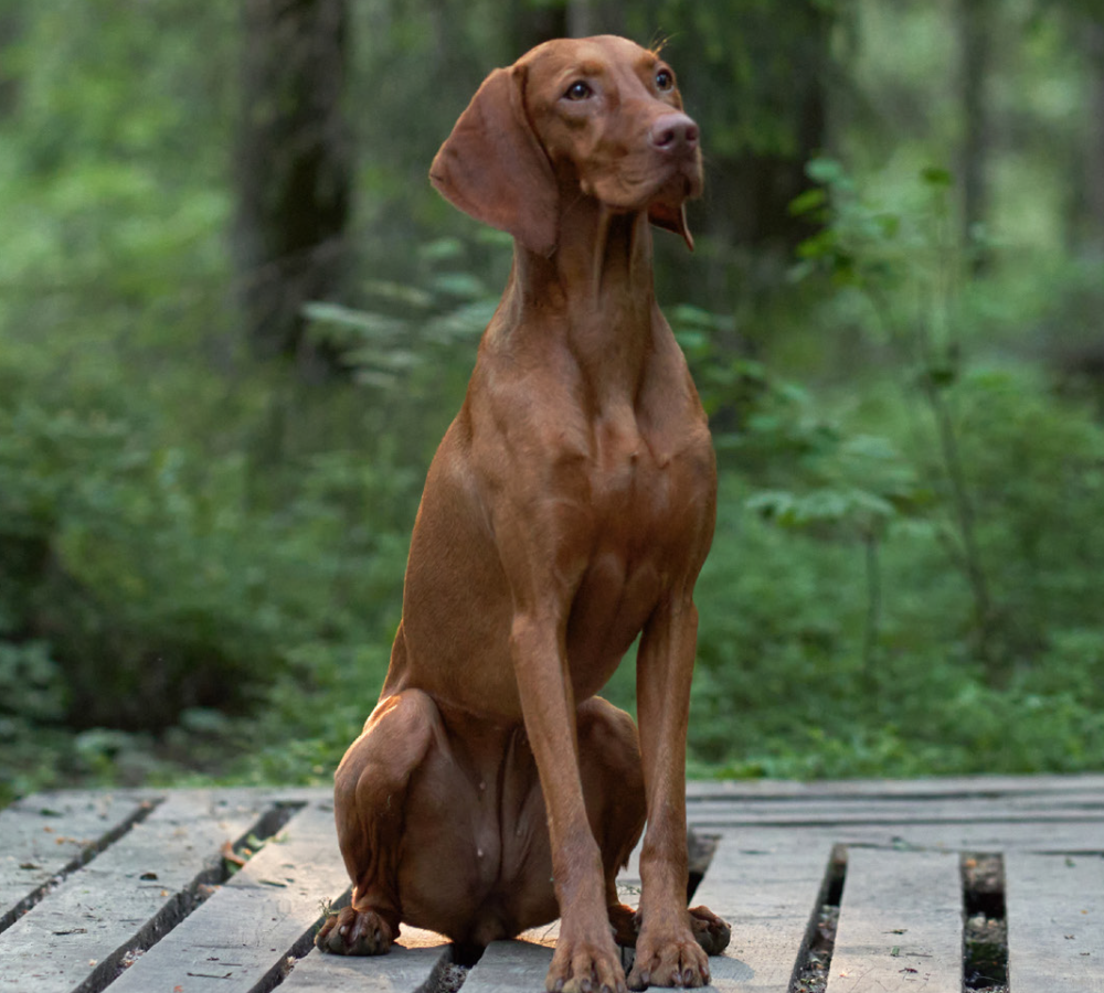 obraz_2026-02-25_211415903